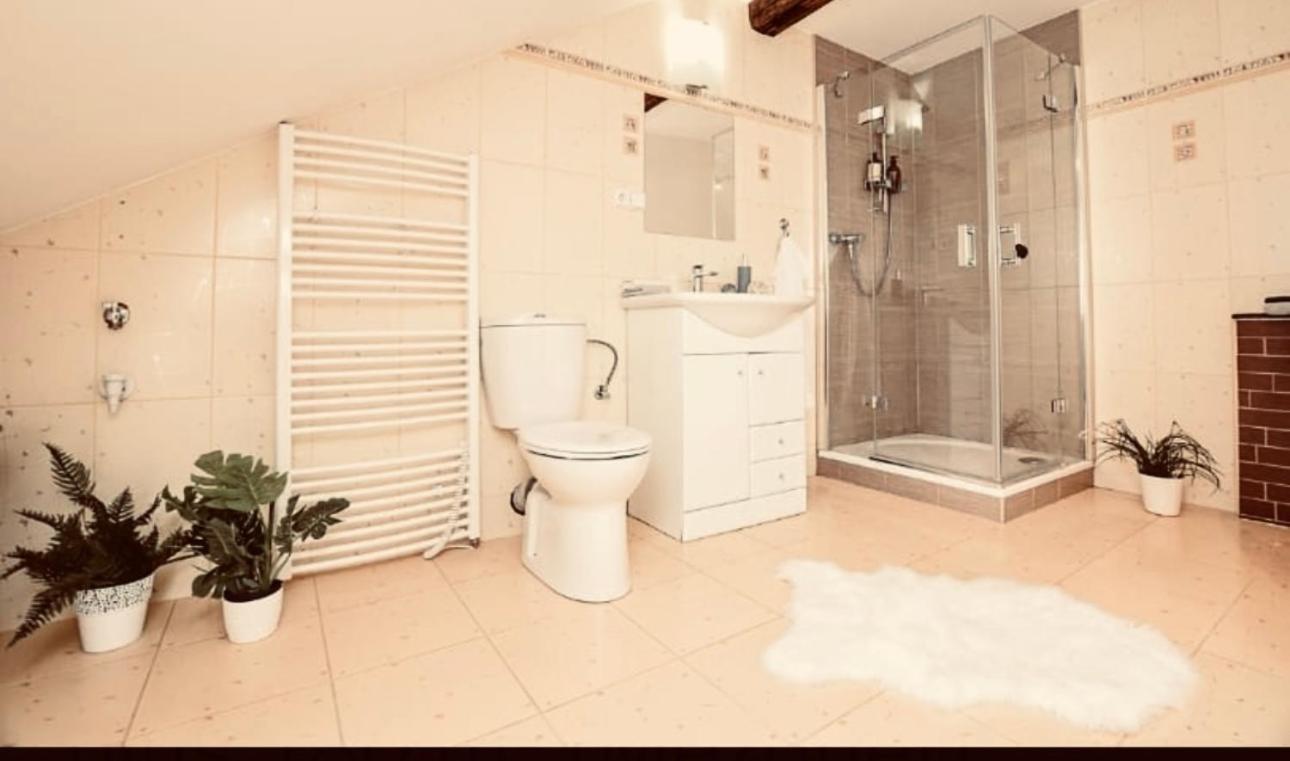 Apartman Penelope Zatec  Bagian luar foto